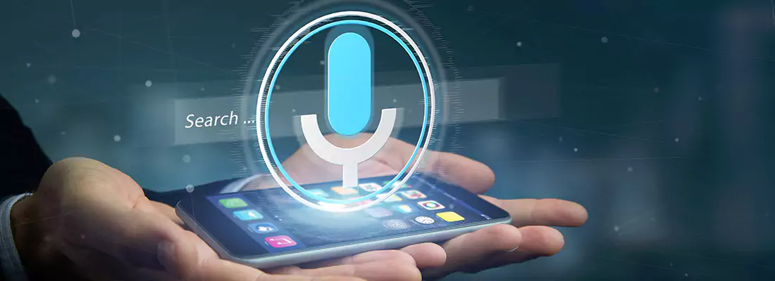 Enhance Security with Voice Recognition Access Systems in Lauderdale Lakes, FL